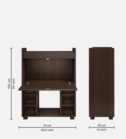 Olga Bar Cabinet & Counter in Dark Elm Finish